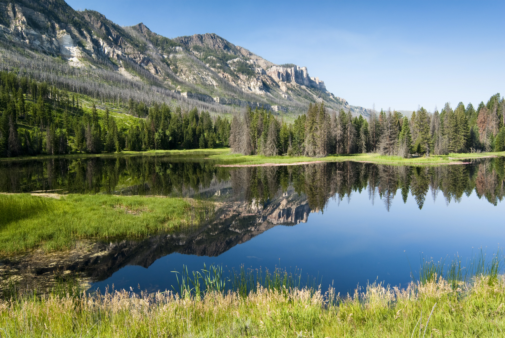 reflections in a lake along Chief Joseph Scenic Byway in Wyoming.